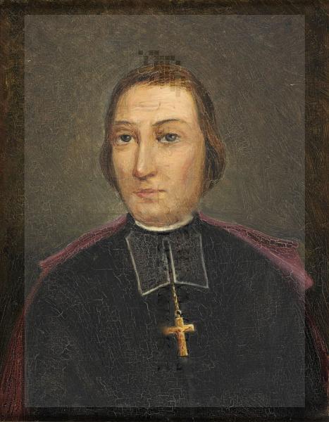 Monseigneur henri de solages 1850