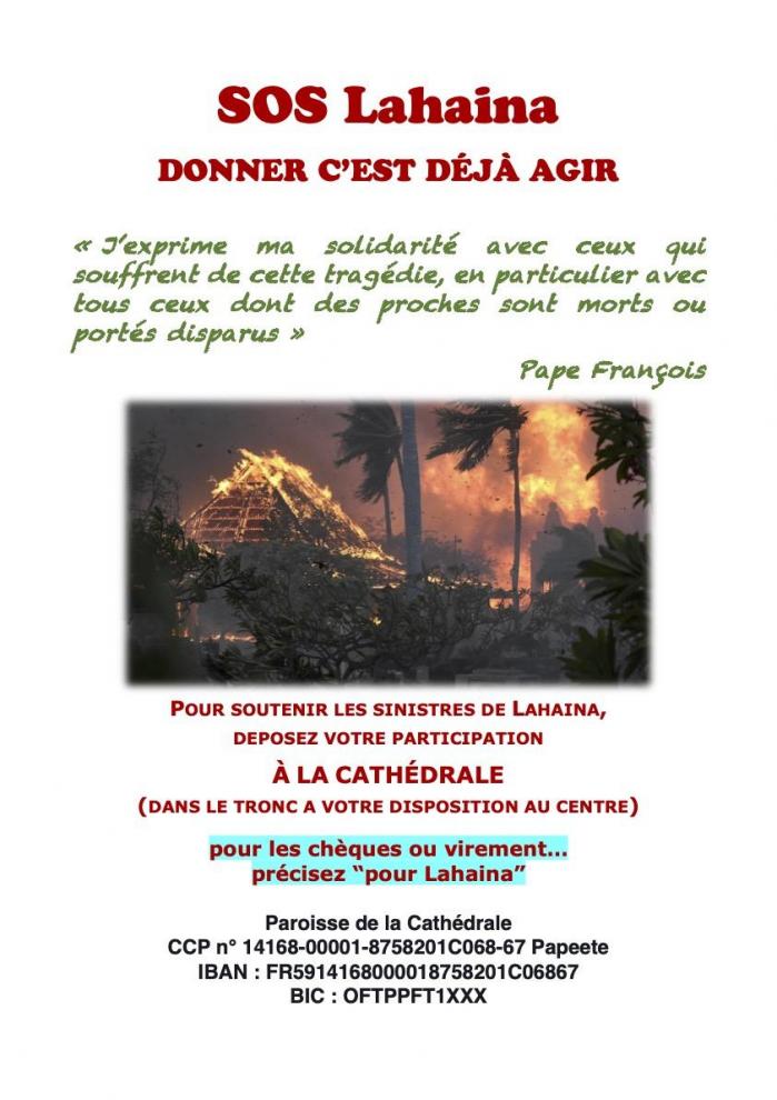 Sos hawaii affiche